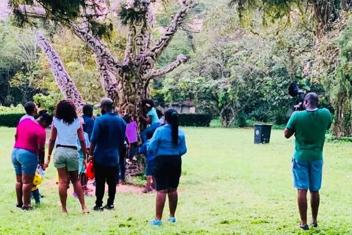 sekelompok orang berdiri di lapangan sambil melihat jerapah