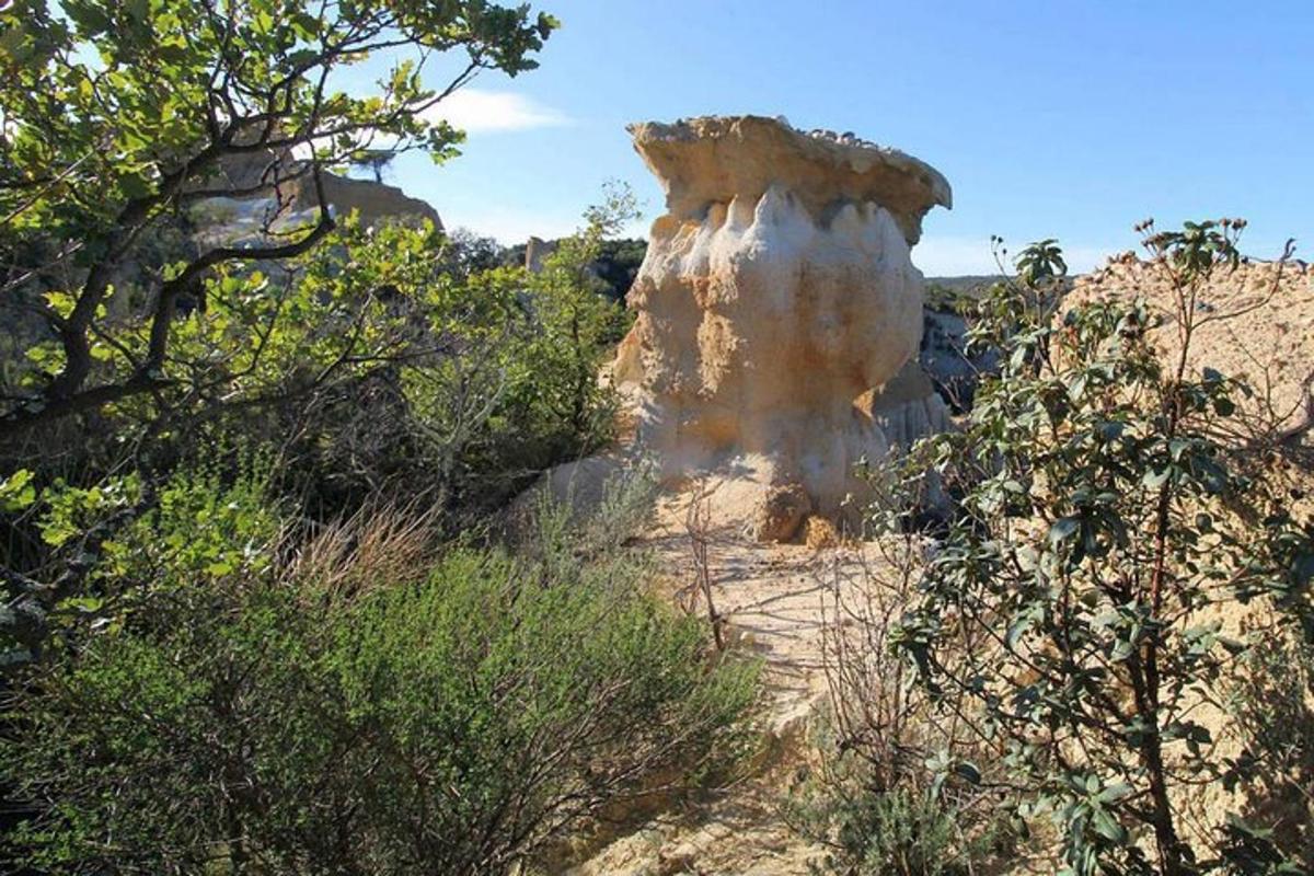 a large rock formation in the middle of a field