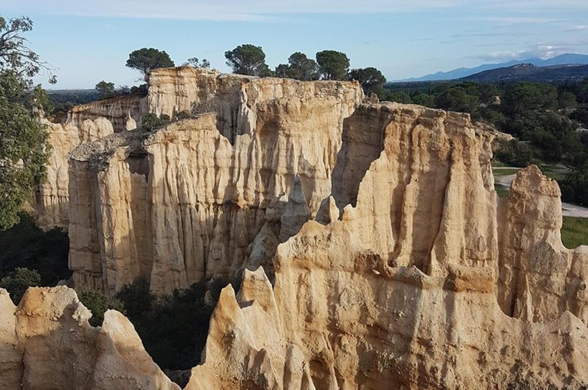 a rock cliff with trees on top of it