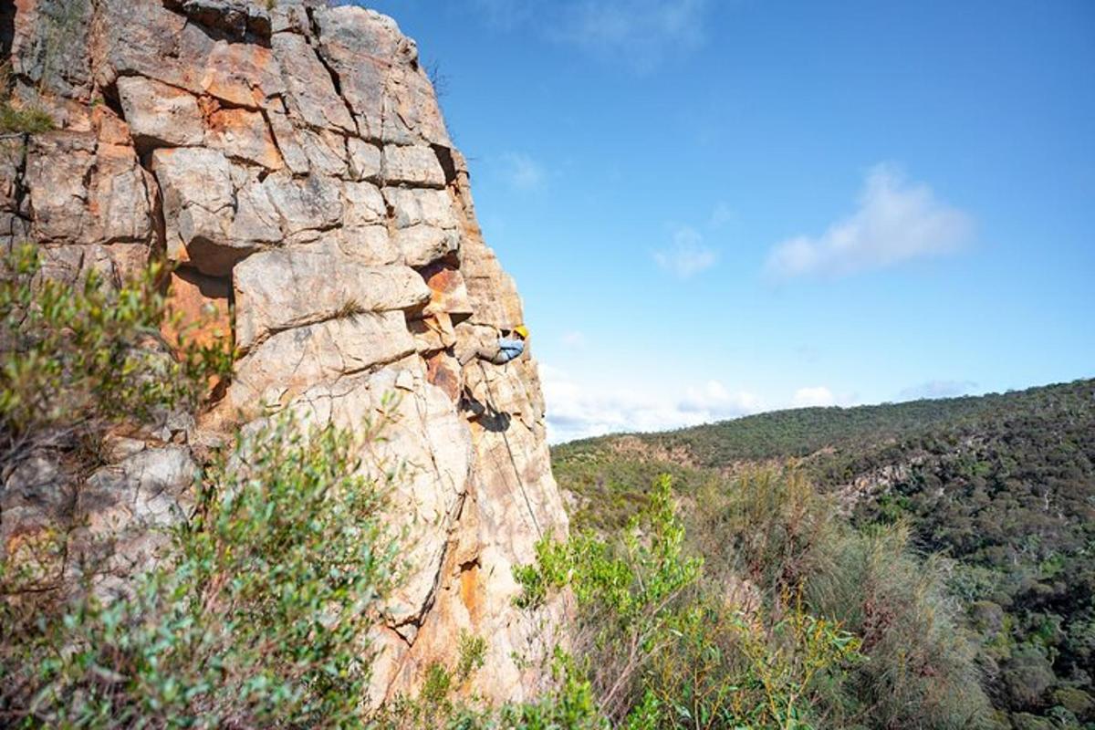 una parete rocciosa con una persona che ci si arrampica sopra
