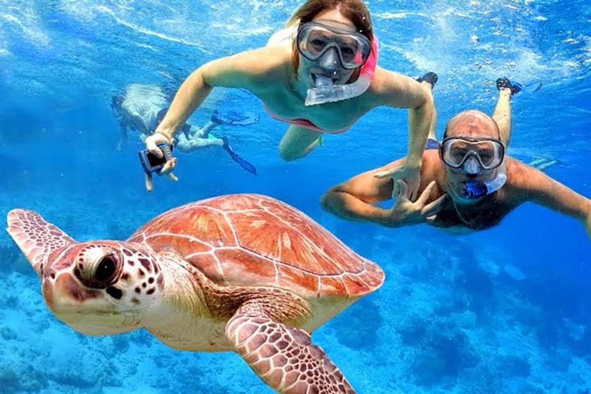 twee mensen en een zeeschildpad in het water