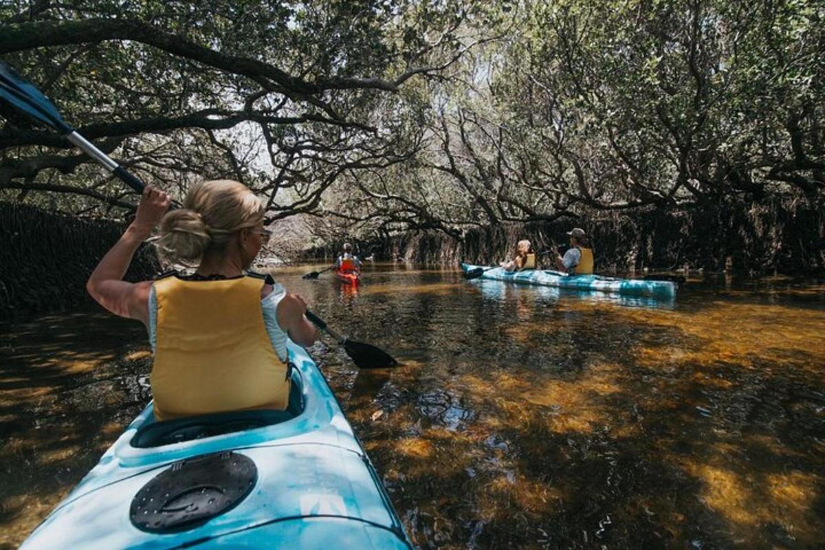 a woman paddling a kayak down a river