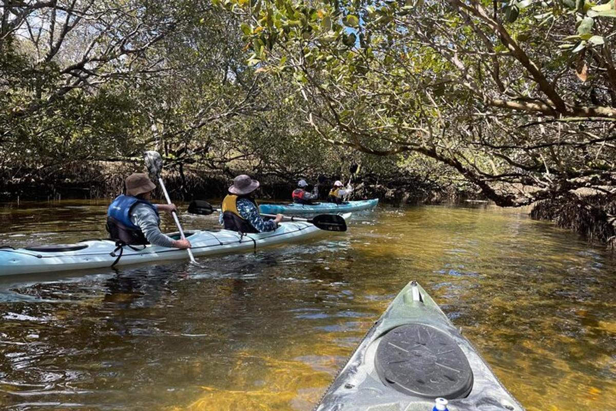 a group of people in kayaks on a river