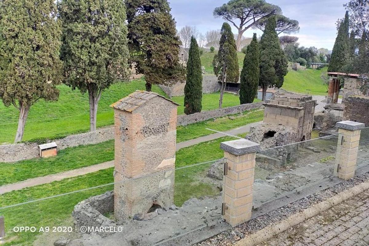 una vista di un cimitero con alberi ed erba