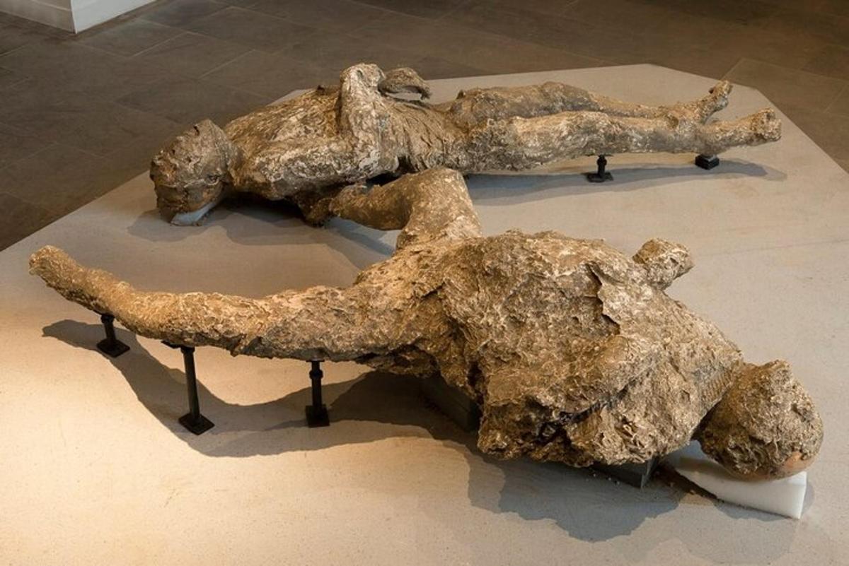 en bunke sten udstillet på et museum