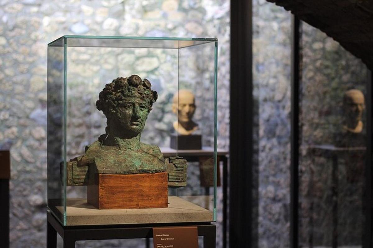 um busto de uma mulher em uma caixa de vidro
