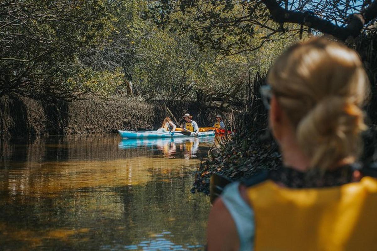 a group of people in kayaks on a river