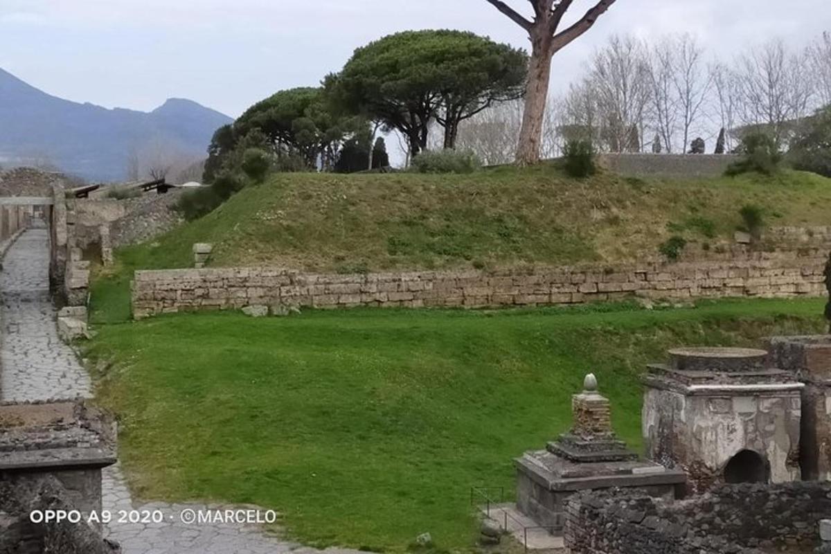 um muro de pedra com um campo verde e uma árvore