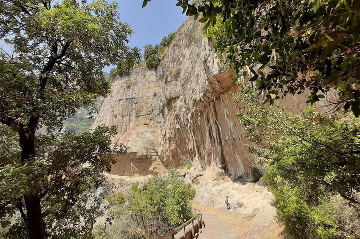 una muntanya rocosa amb arbres al davant