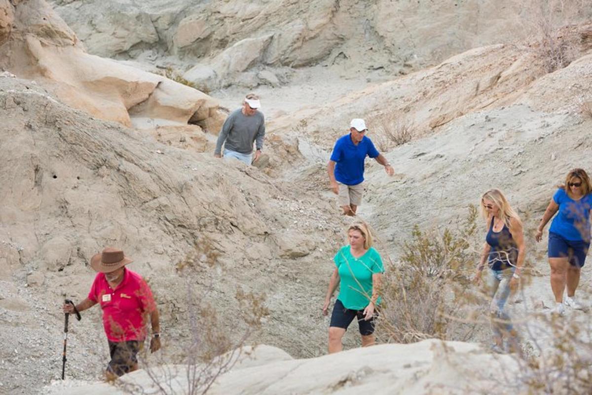 a group of people walking up a rocky hill