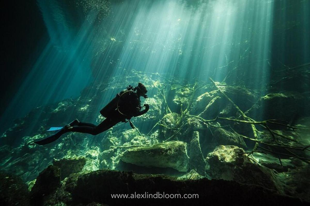 osoba plavající v oceánu ve vodě
