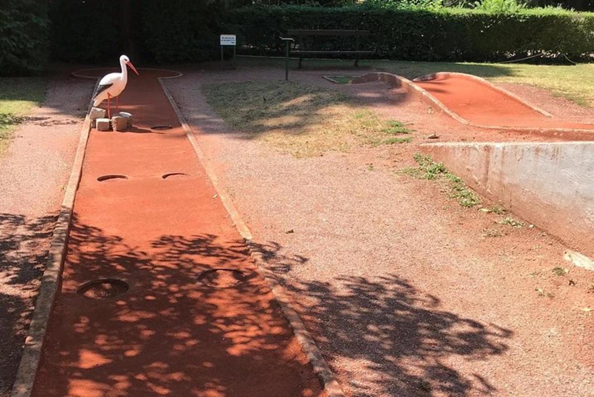een vogel die op een stoep naast een skatepark staat