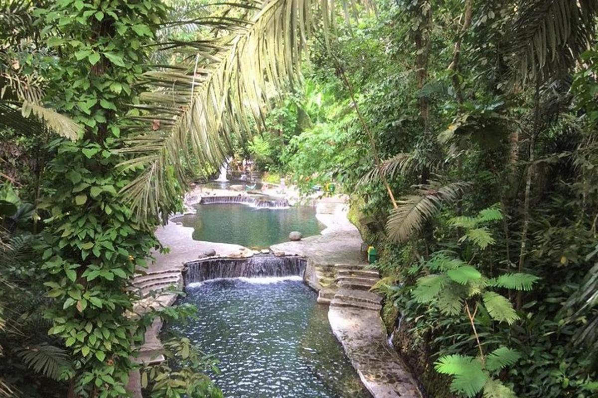 kolam air di dalam hutan dengan air terjun
