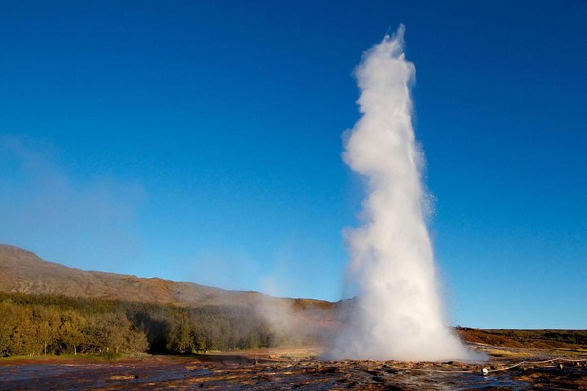 a geosphere of steam is standing in a field