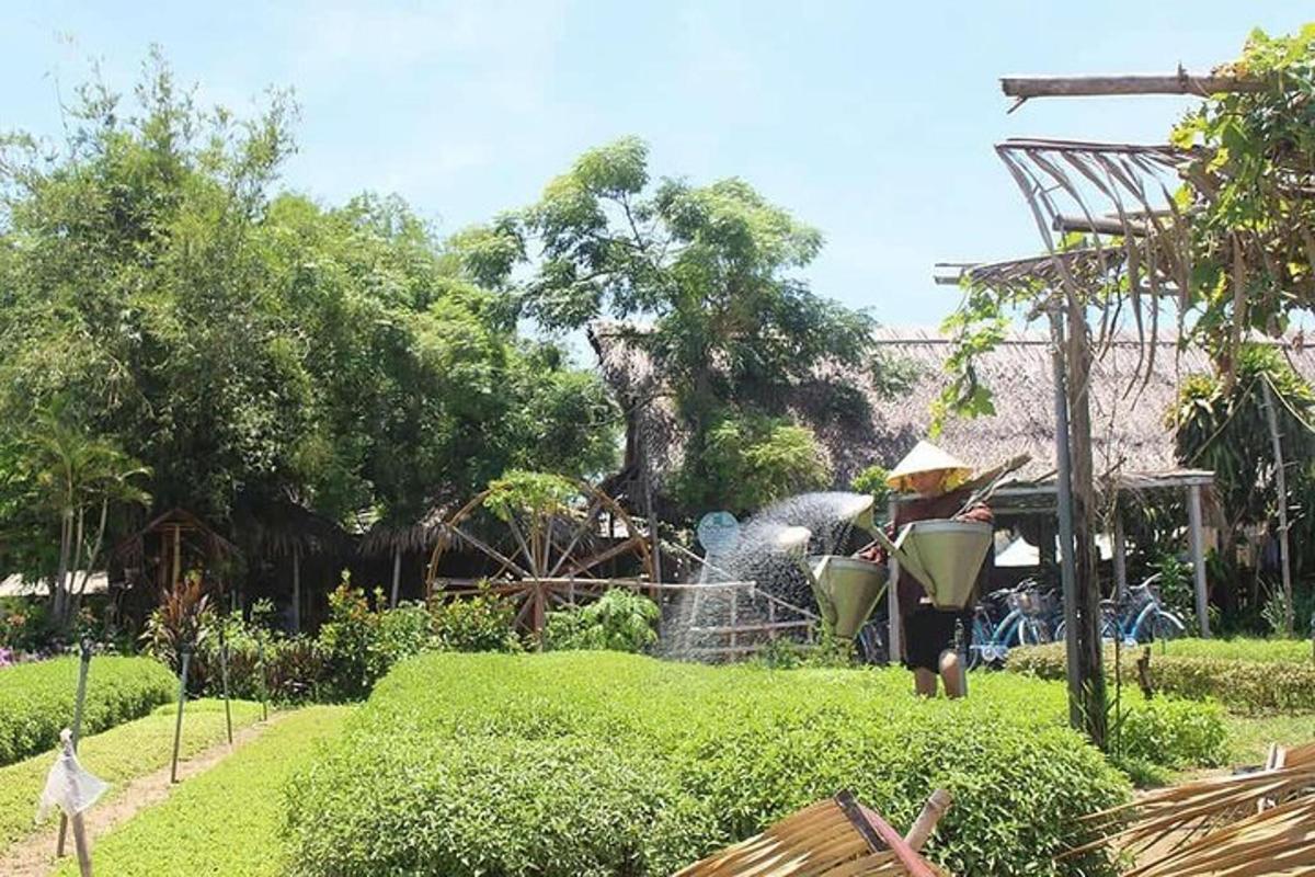 un grup de persones jugant en un jardí amb una font