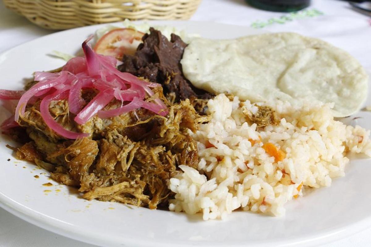 talíř jídla s rýží a masem a tortilla