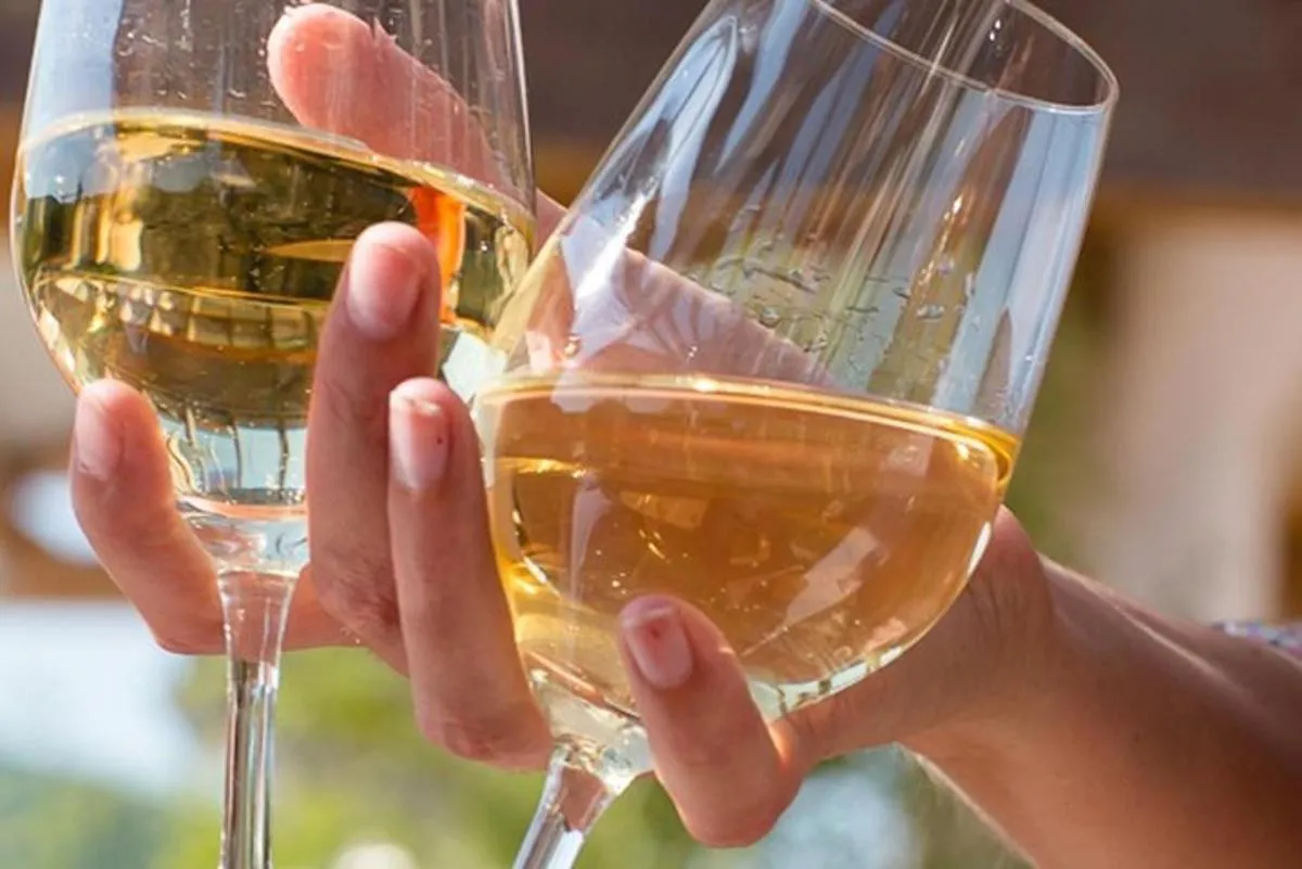 Alsace : Visite Chai Paille Unique/Dégustation Vins Biodynamiques – photo 1