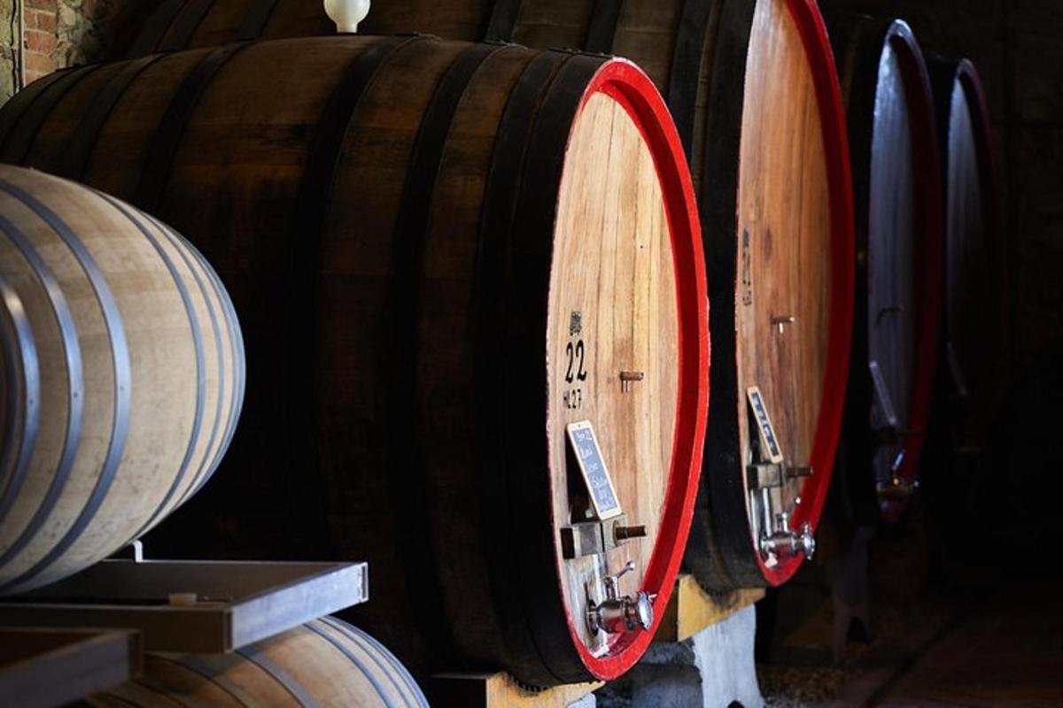 um grupo de barris de vinho em uma adega