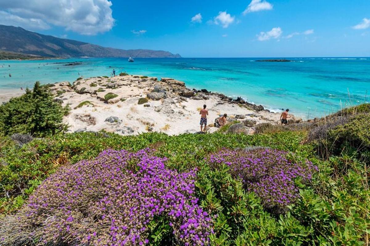 um grupo de pessoas em uma praia com flores roxas