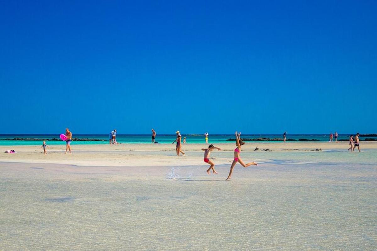 um grupo de pessoas brincando na praia
