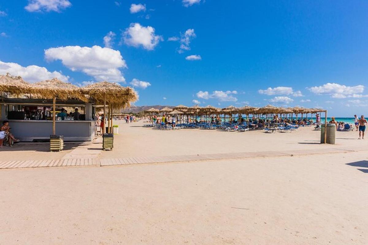 en strand med stråparasoller og stoler og havet