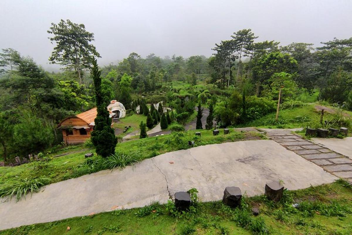 a park with a skateboard ramp in the grass