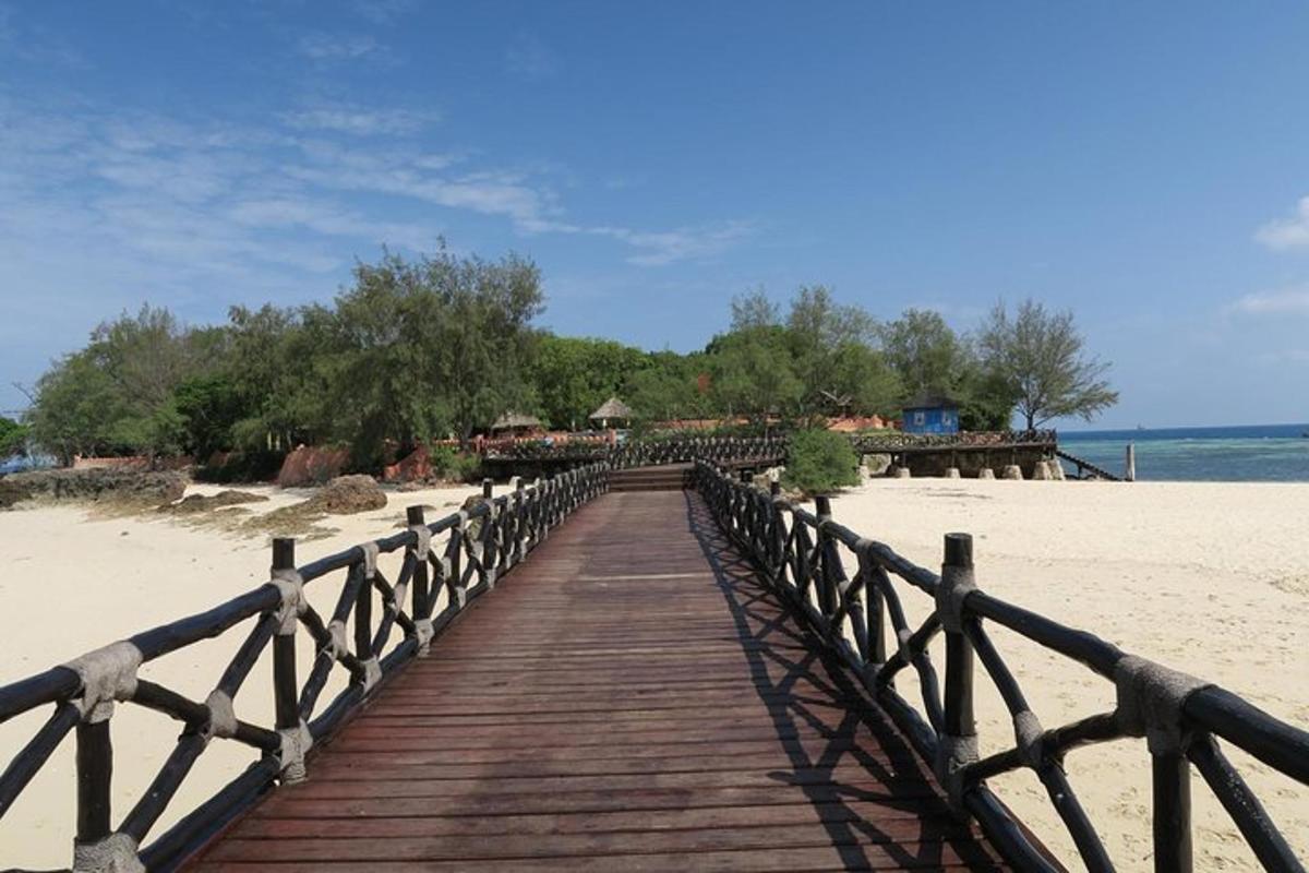 un ponte di legno sopra una spiaggia sabbiosa con alberi