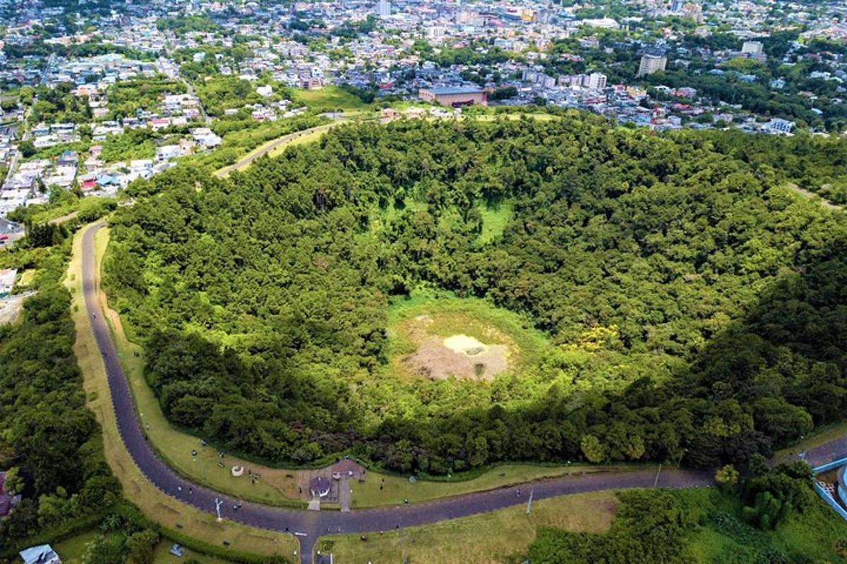 uma vista aérea de um parque no meio de uma cidade