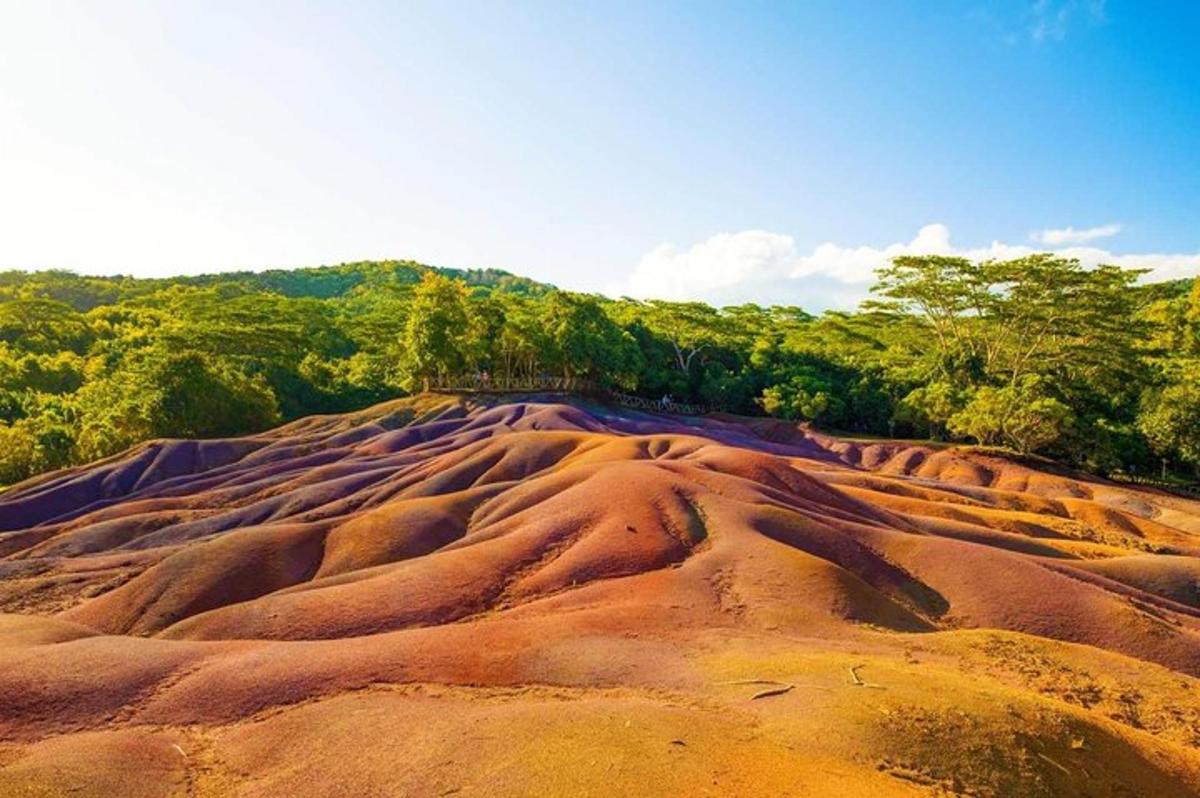 bukit pasir besar dengan pepohonan di latar belakang