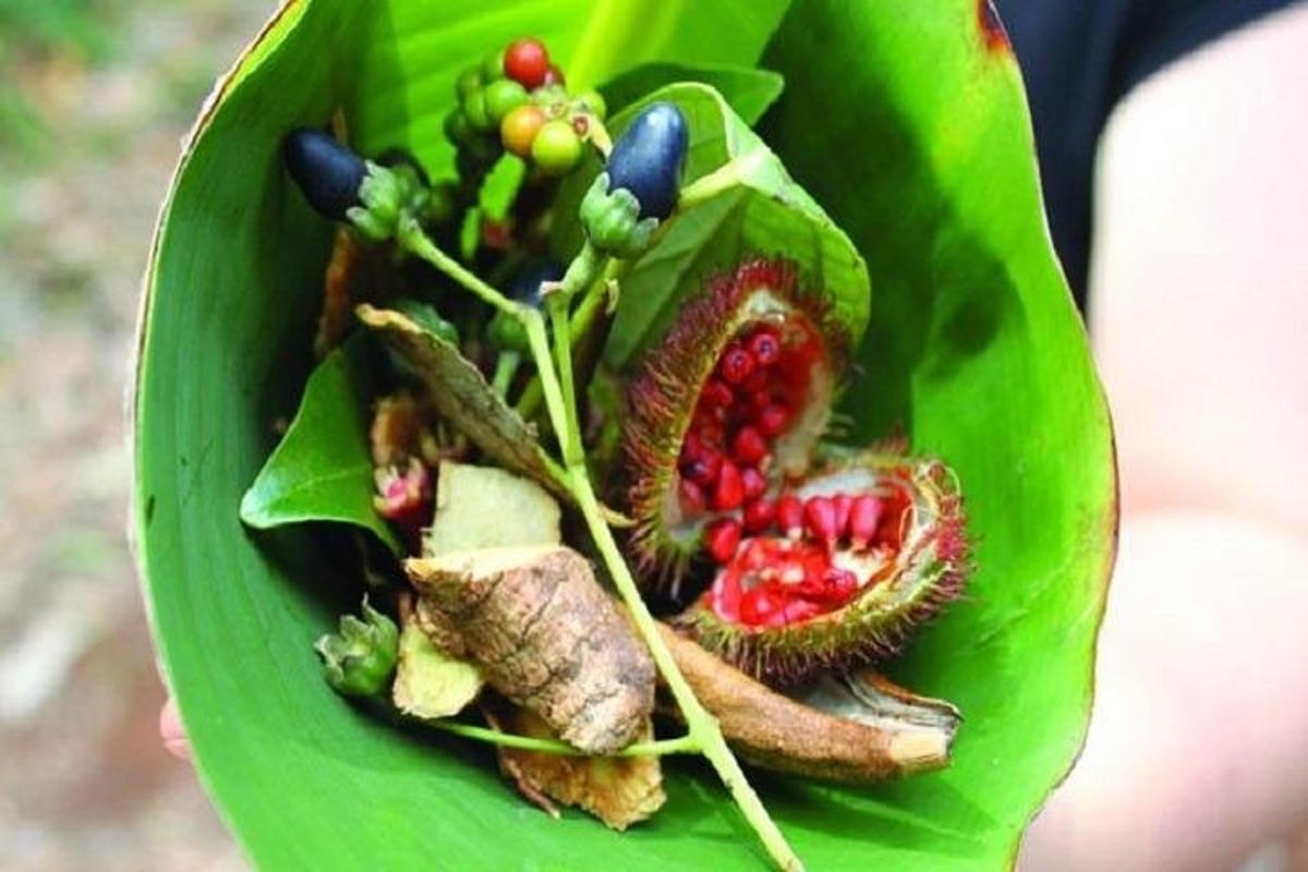 un plat verd de menjar amb fruites i verdures