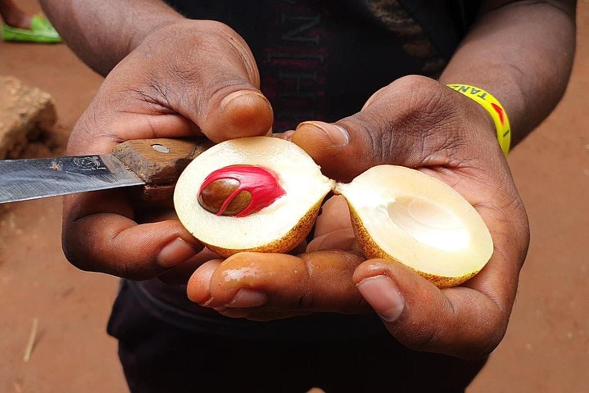 una persona que sosté una peça de fruita amb un ganivet