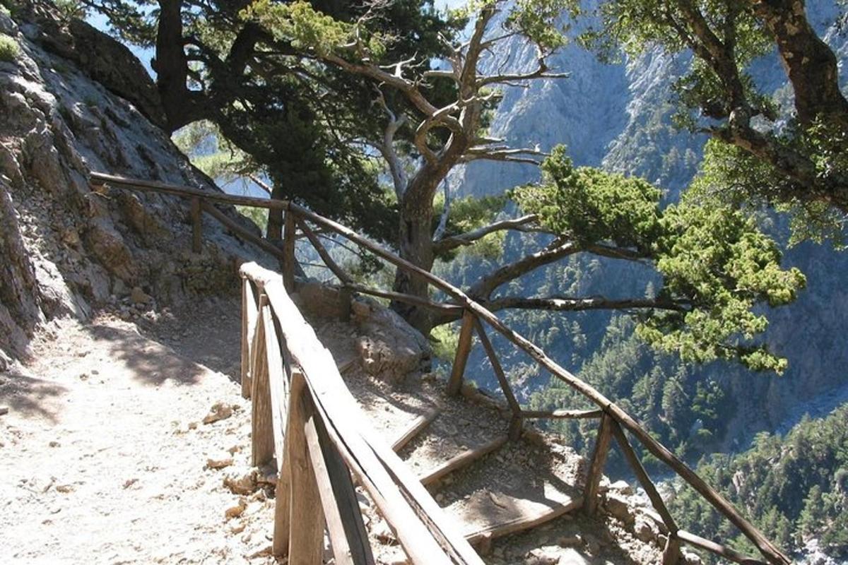 a wooden staircase leading up to a tree on a mountain