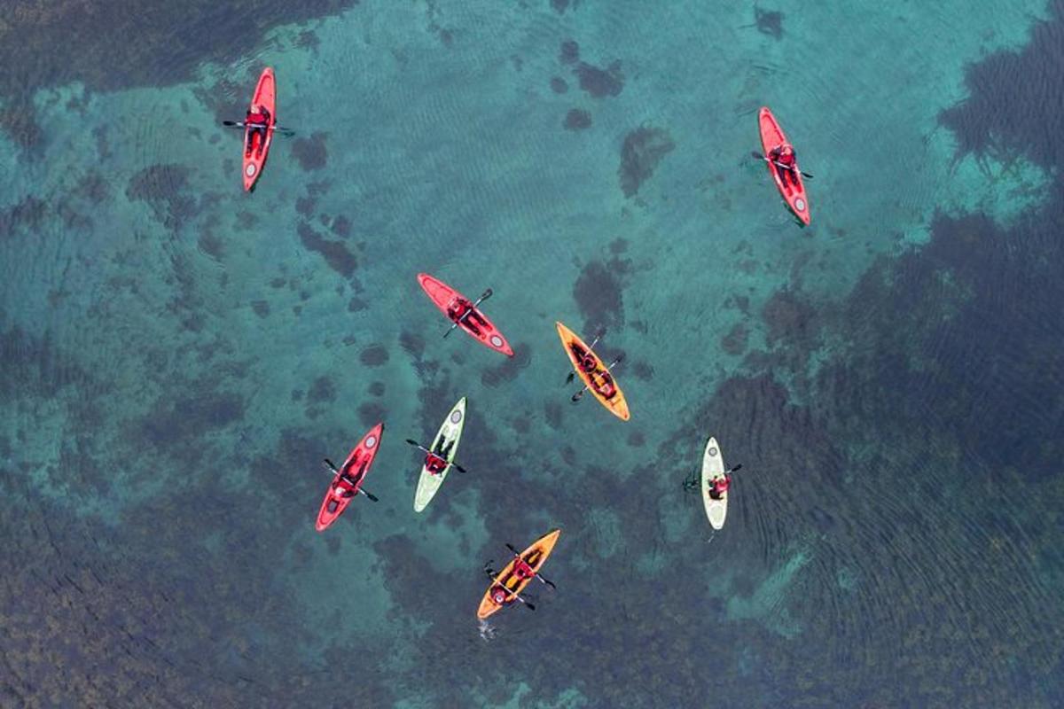 a group of people in kayaks in the water