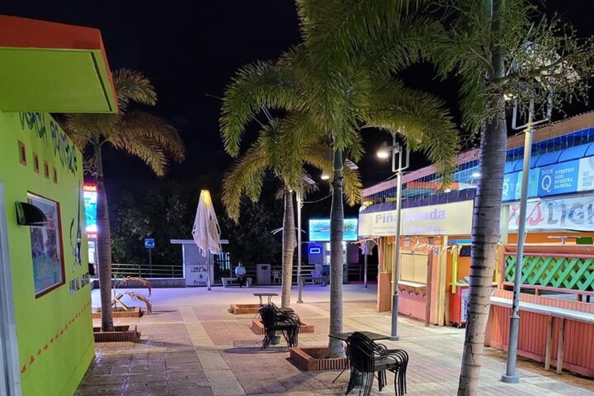 a city street with palm trees and benches at night