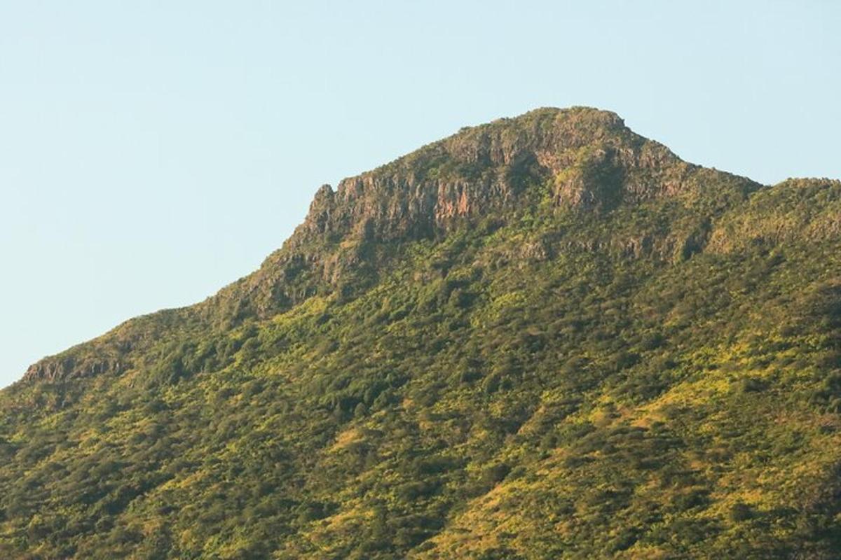 晴れた日に緑豊かな山