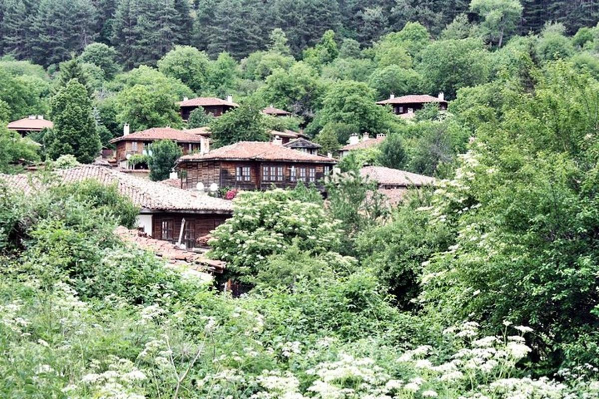 a group of houses on a hill with trees