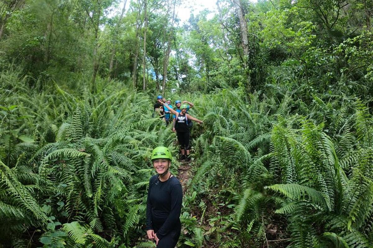 a group of people on a trail in the jungle