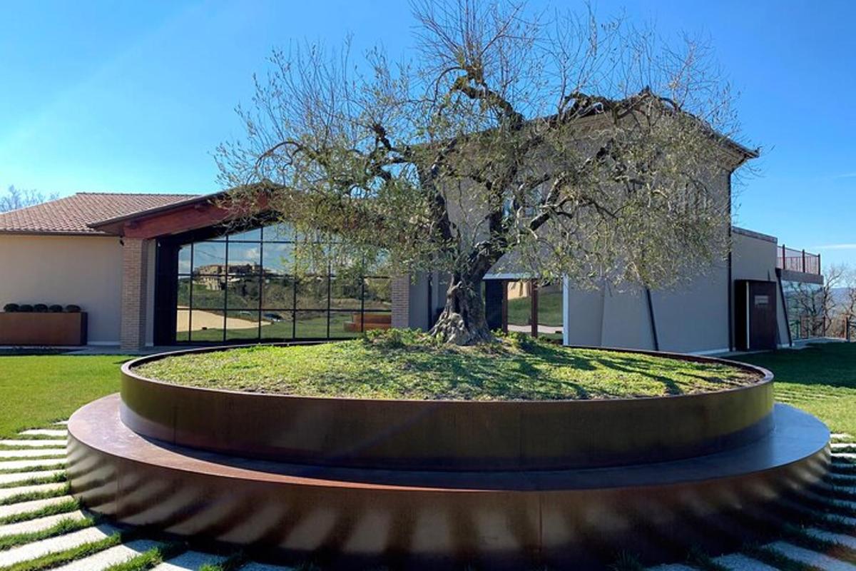 a tree in a circle in front of a building