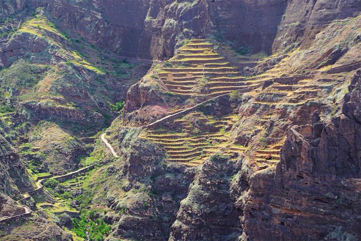 an aerial view of a canyon with terraces on a mountain