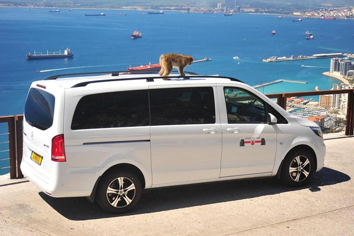a cat is sitting on top of a white van
