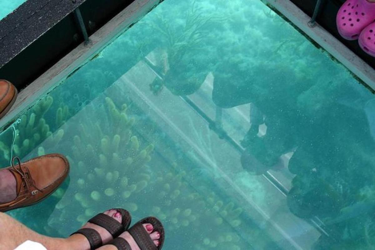 eine Person, die auf einem Glasboden steht und einen Taucher ansieht