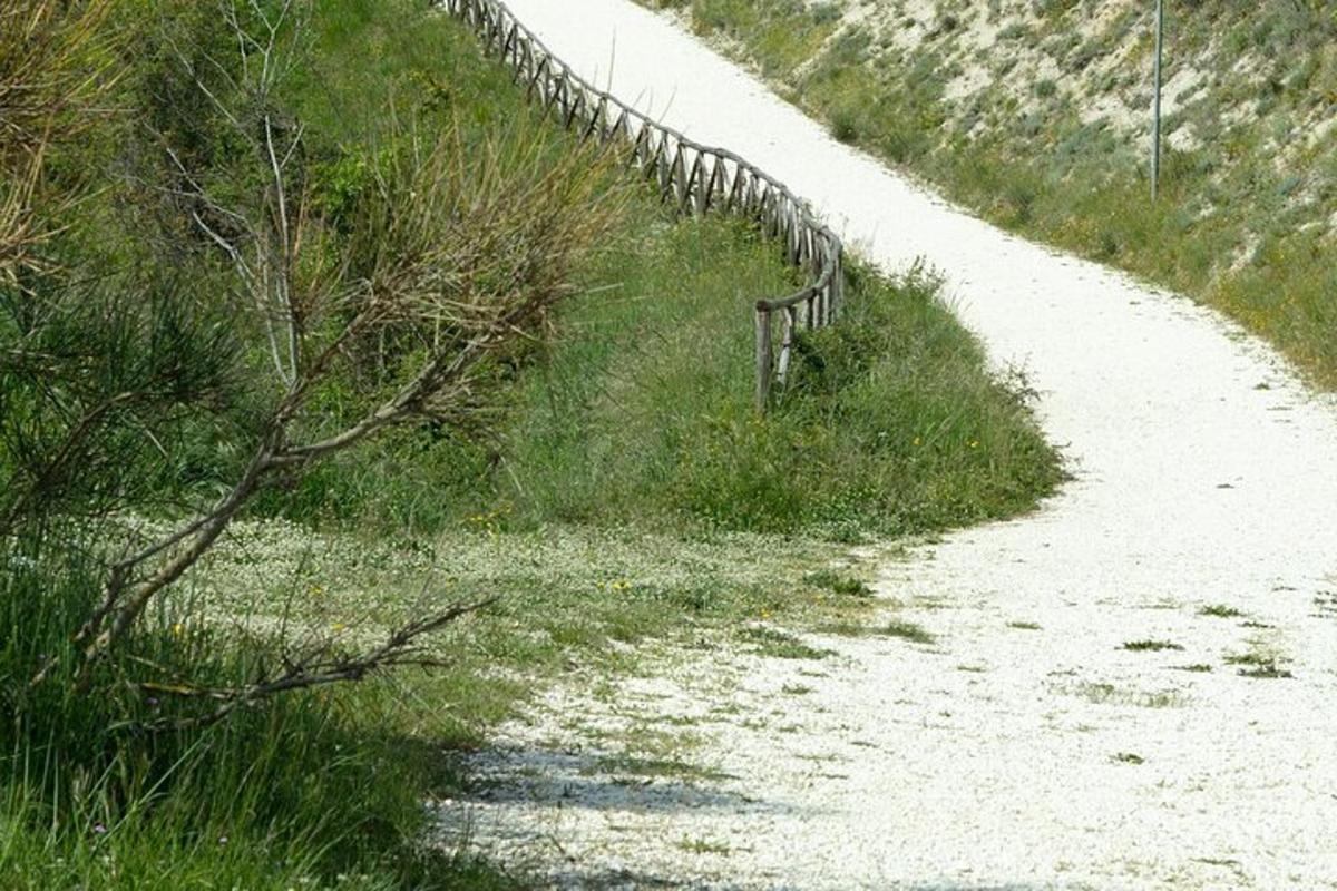 a fence on the side of a dirt road