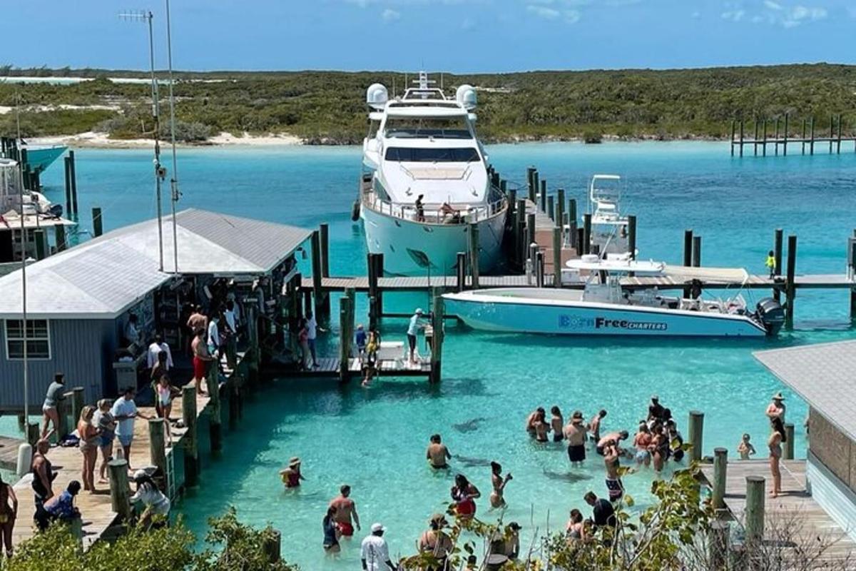 a group of people in the water near a boat
