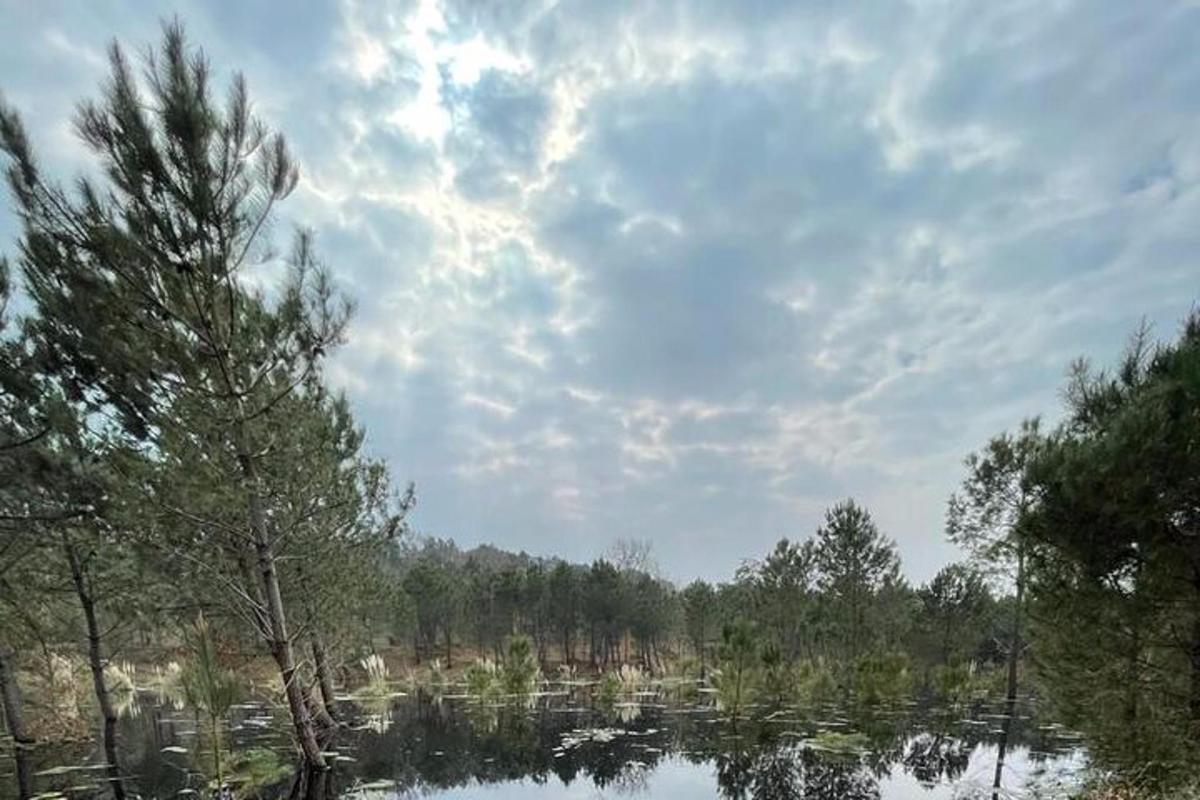 a body of water with trees and a cloudy sky