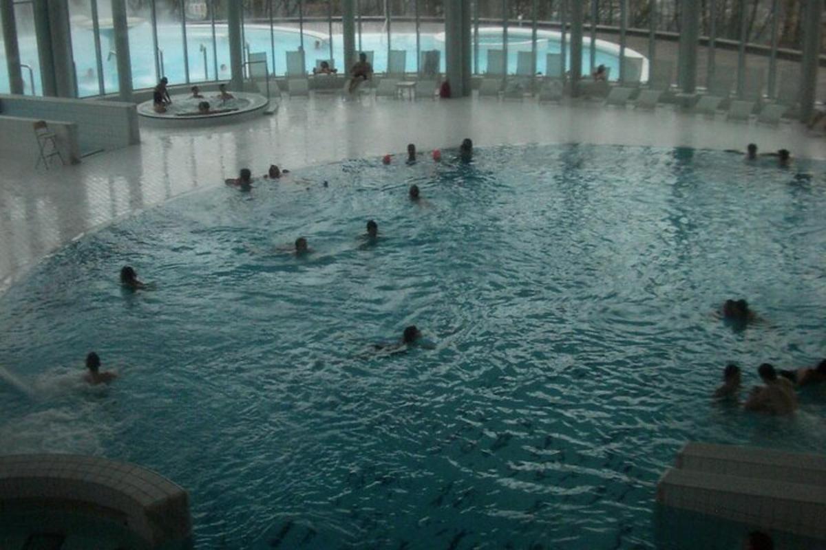 a group of people swimming in a swimming pool