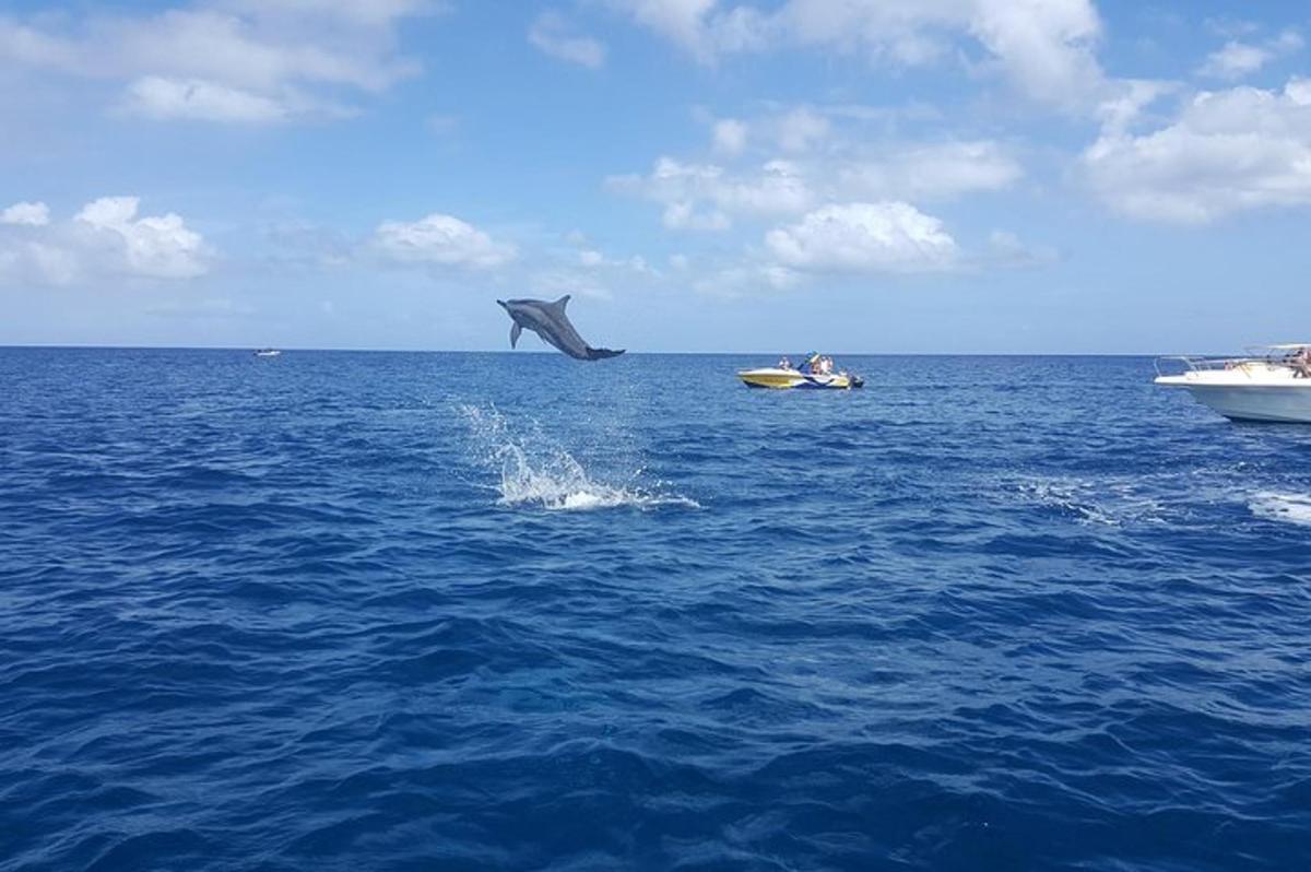 Un delfín en el agua con un barco en el océano.