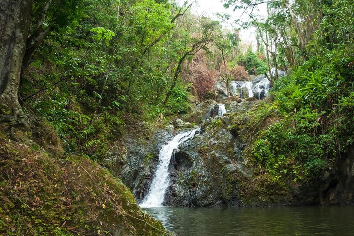 a waterfall in a forest next to a body of water