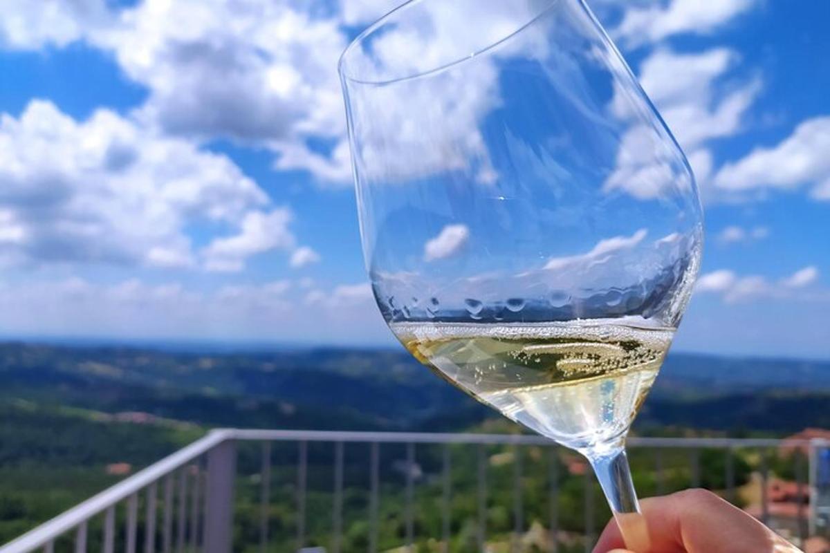 a person holding a glass of white wine