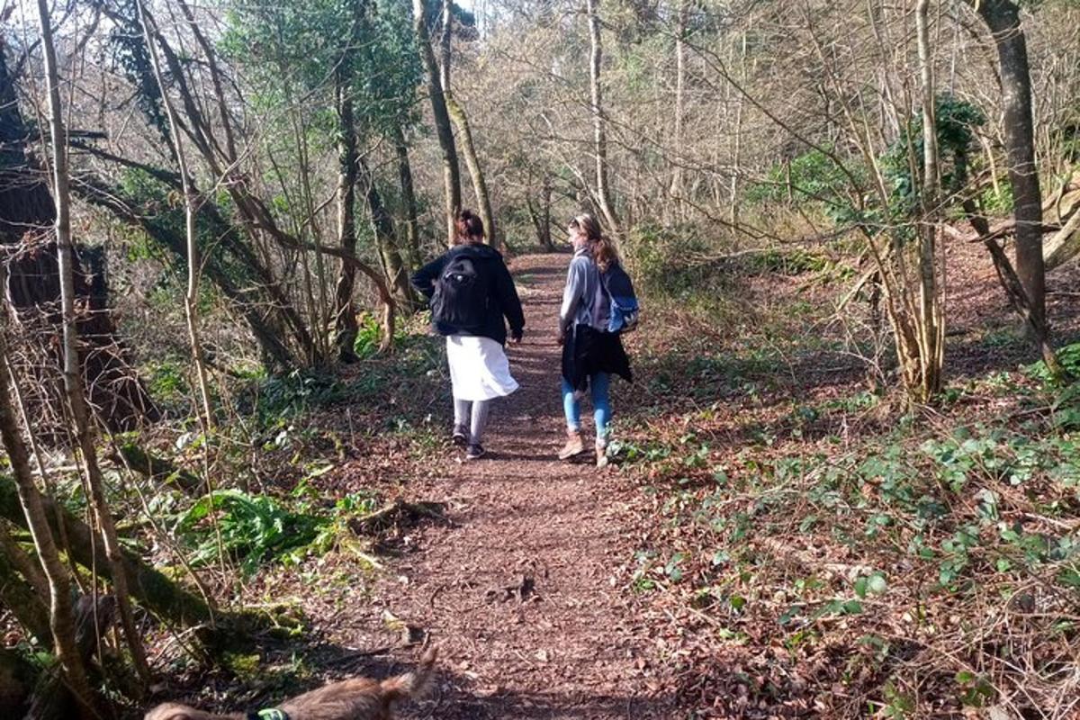 two people walking down a trail in the woods