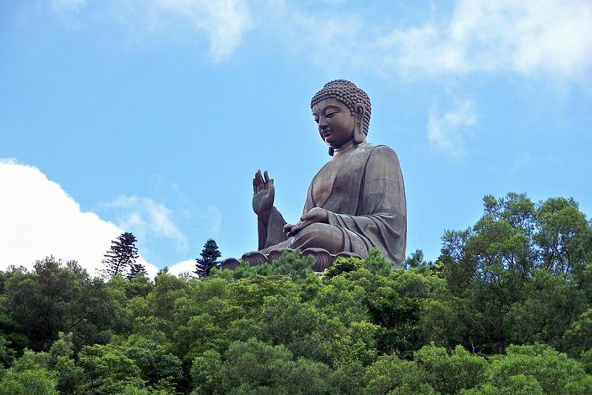 una grande statua seduta in cima agli alberi
